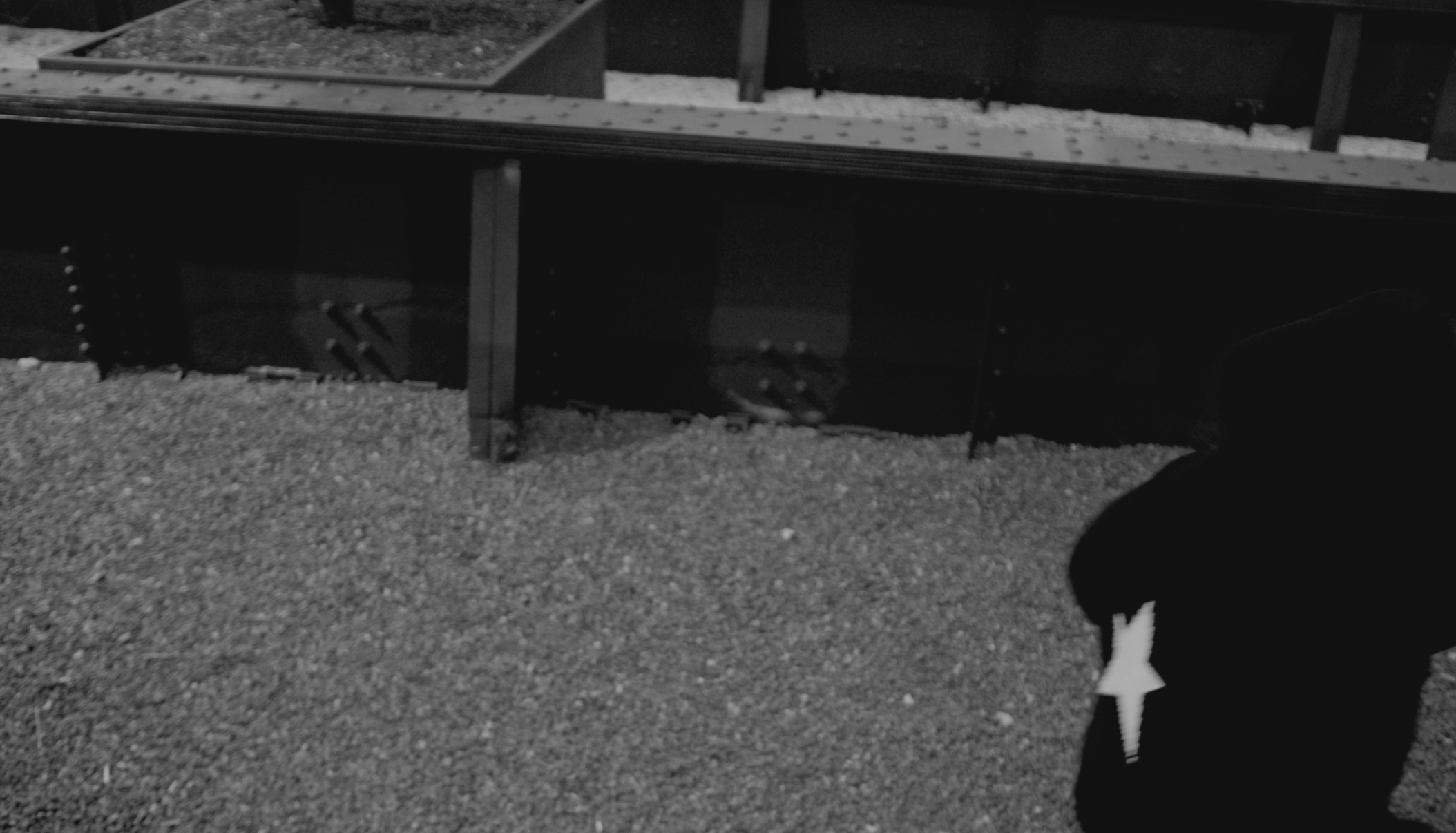 Vlour - star knit B&W low angle